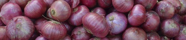 onion